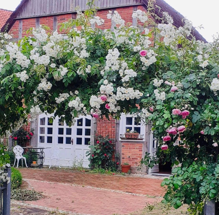 Ferienhaus Zur Sonne Wolpinghausen Ngoại thất bức ảnh